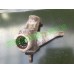 MICROCAR MC1 MC2 STEERING KNUCKLE HUB CARRIER O/S