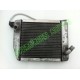 MICROCAR VIRGO MC1 MC2 RADIATOR 2 WAY 