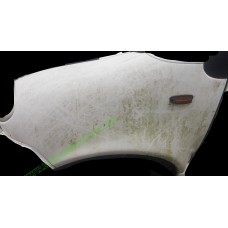 AIXAM 500 N/S PASSENGER SIDE WING